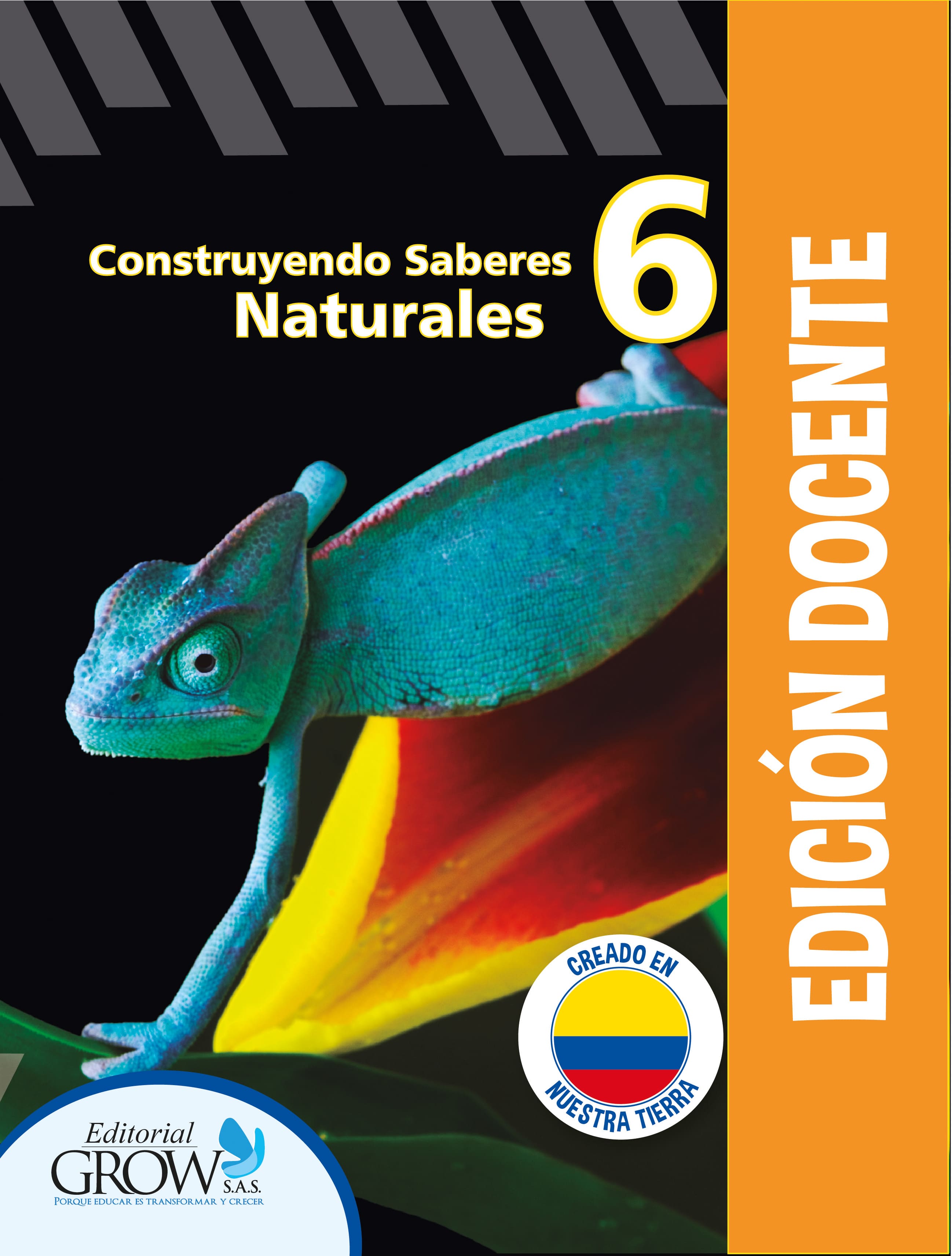 Libros Bachillerato Colombia