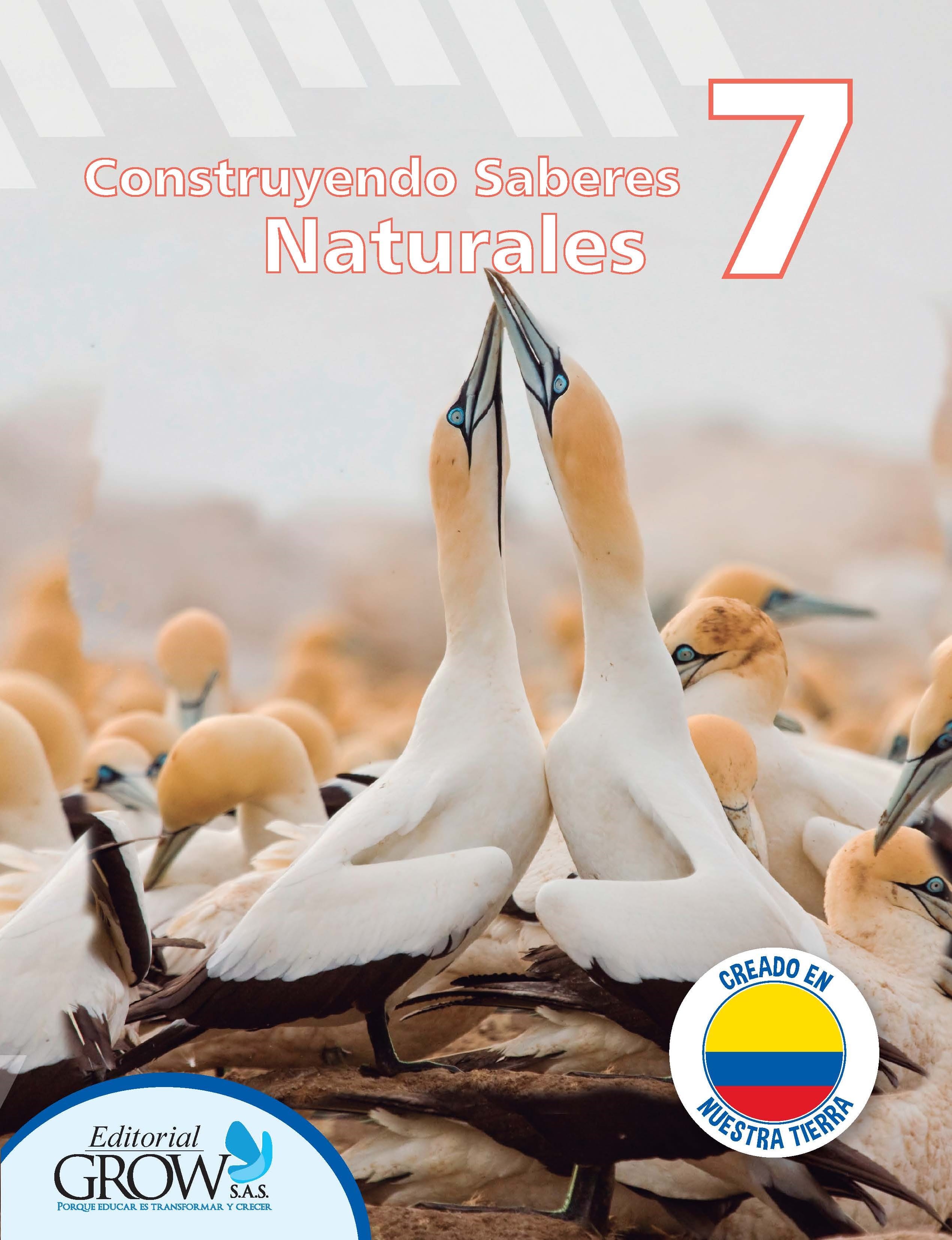 Libros Bachillerato Colombia