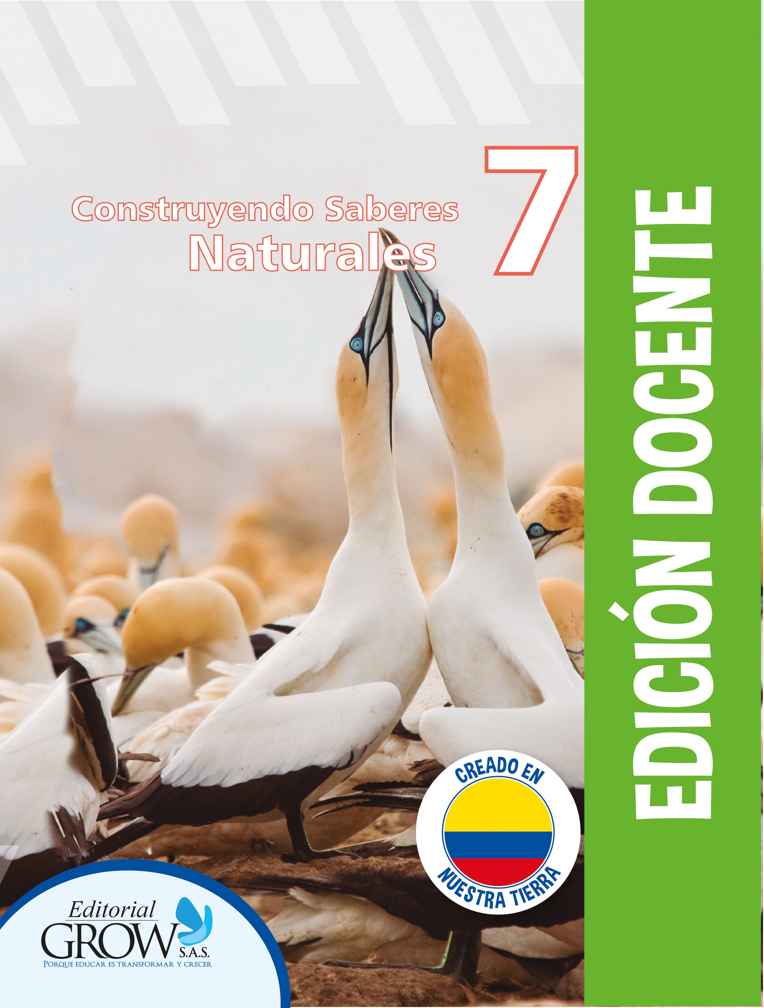 Libros Bachillerato Colombia